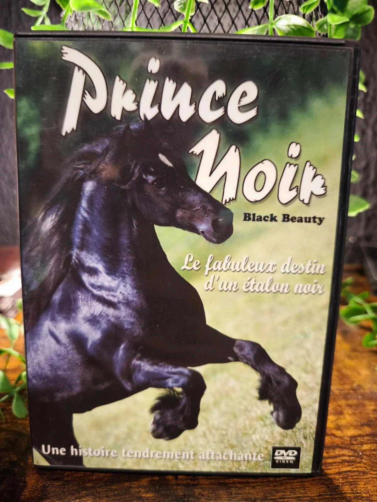 Prince noir